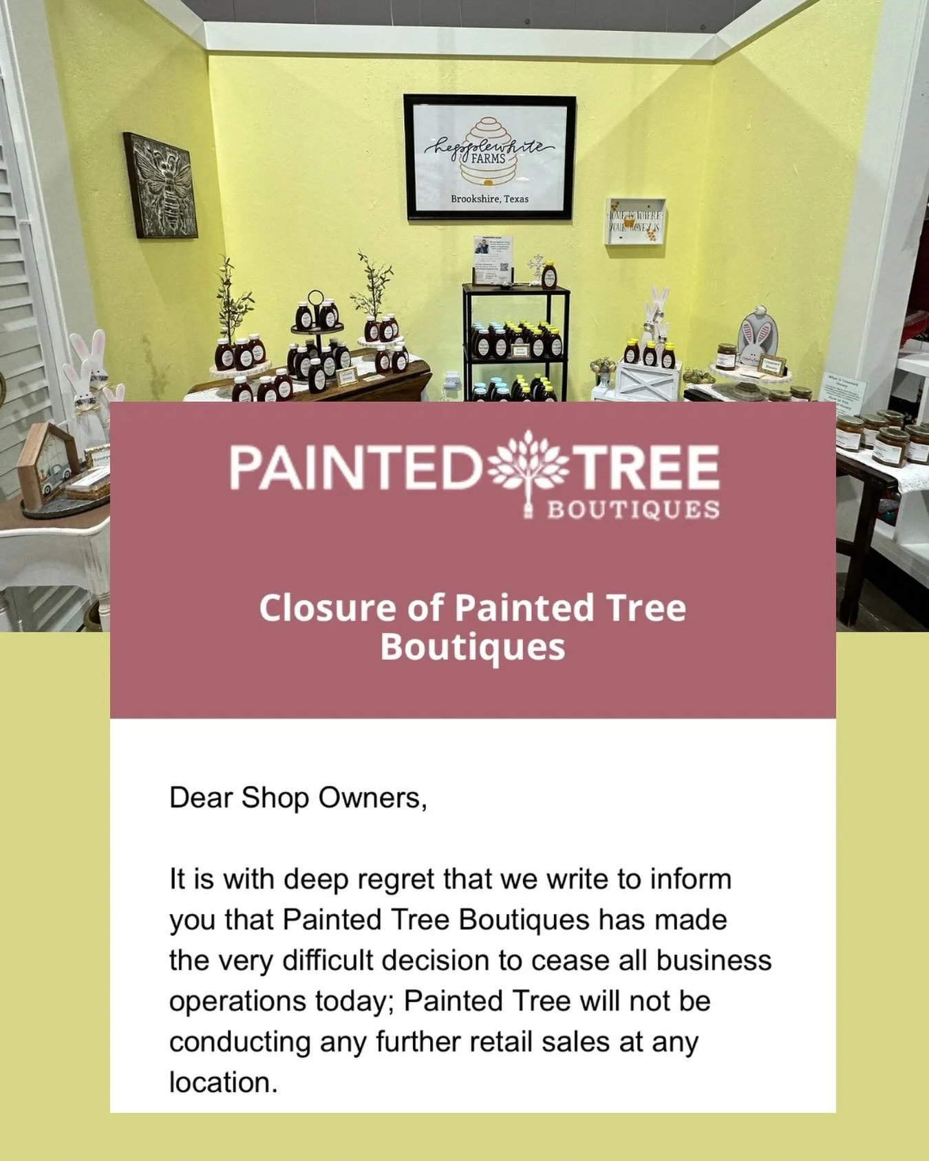 We are shocked at the sudden and unexpected announcement that the Painted Tree Boutique is now permanently closed due to bankruptcy.&nbsp; &nbsp;&nbsp;We will miss serving you at Painted Tree and want to thank you for supporting us there the past 4.5