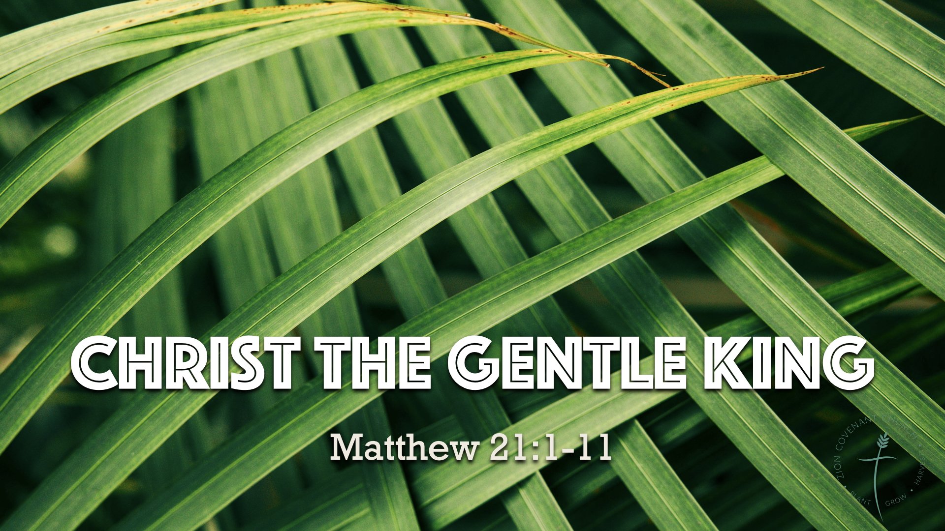 Sunday Worship Service: Palm Sunday