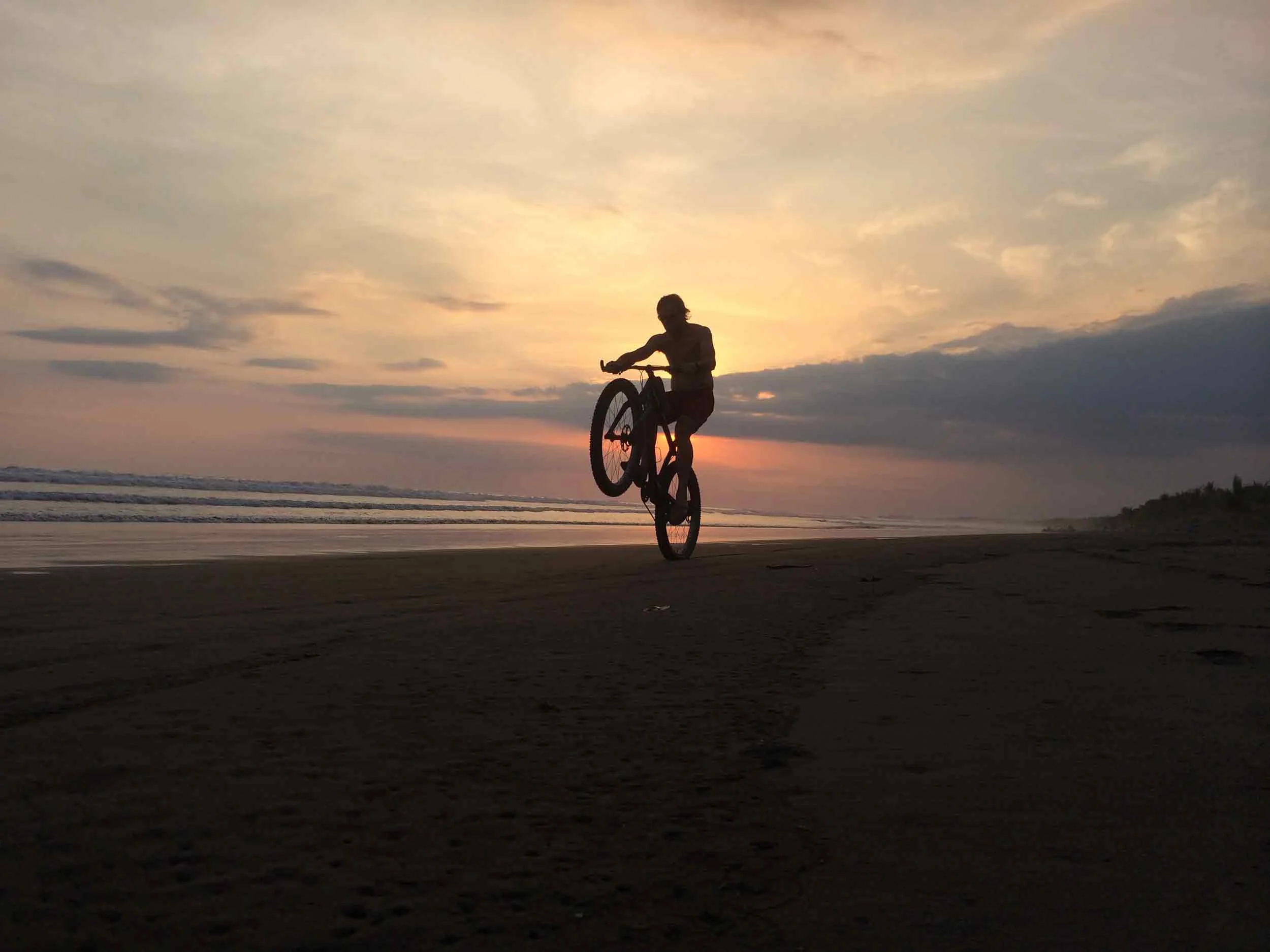 Wheelie.jpg