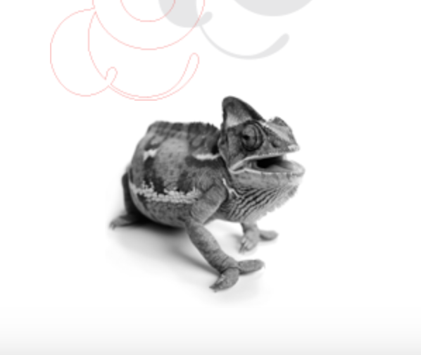 Chameleon Arts Ensemble of Boston