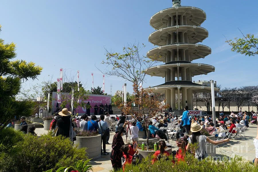 san-francisco-japantown-cherry-blossom-festival-dsc988-wingsdomain-art-and-photography.jpg