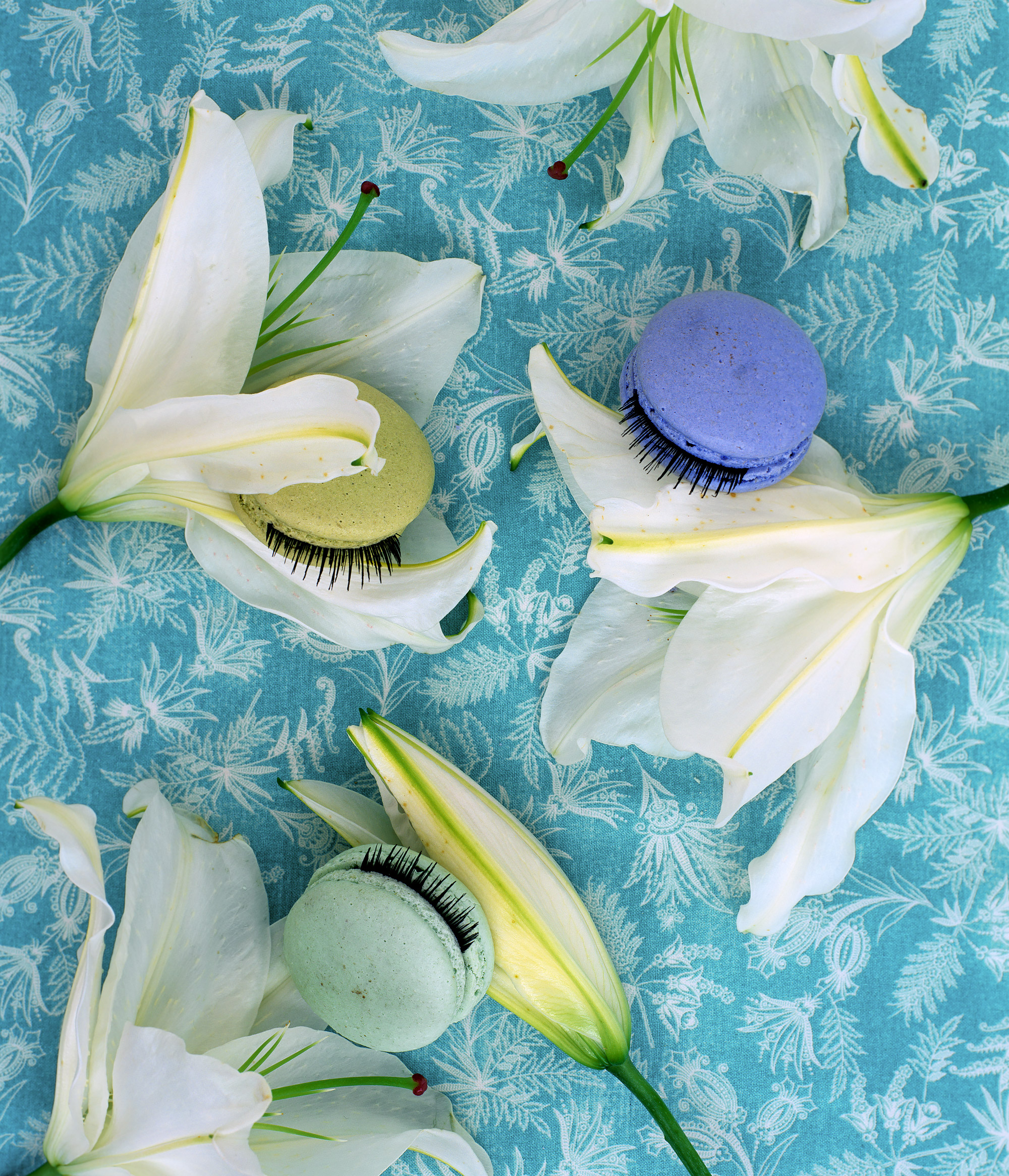 liz-wolfe-macarons-eyelashes-lilies.jpg