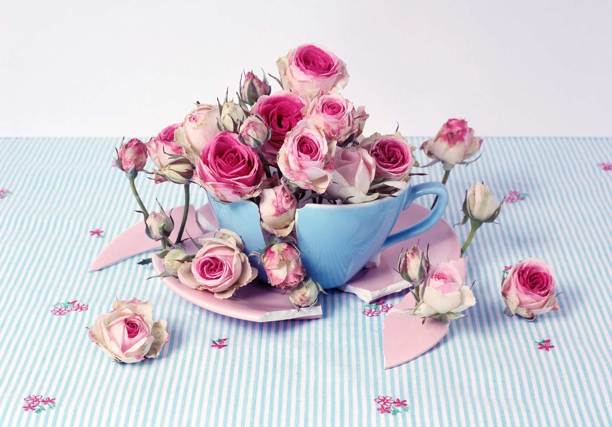 liz-wolfe-broken-teacup-flowers.jpg