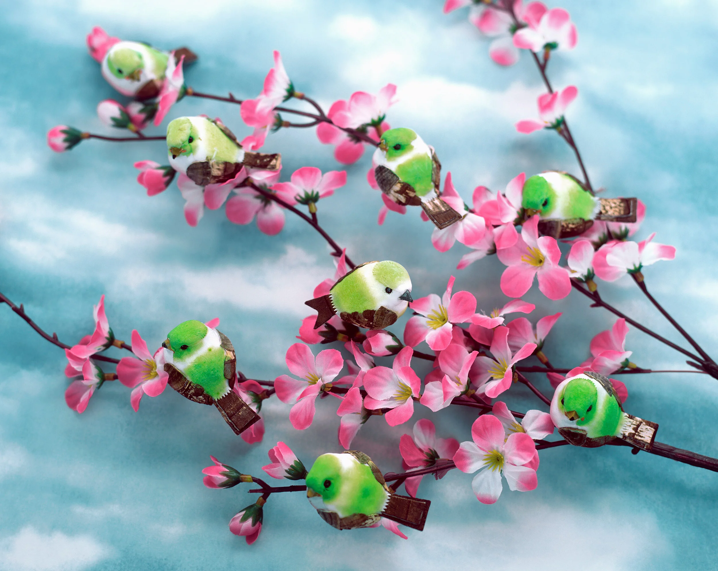 liz-wolfe-bird-branch.jpg