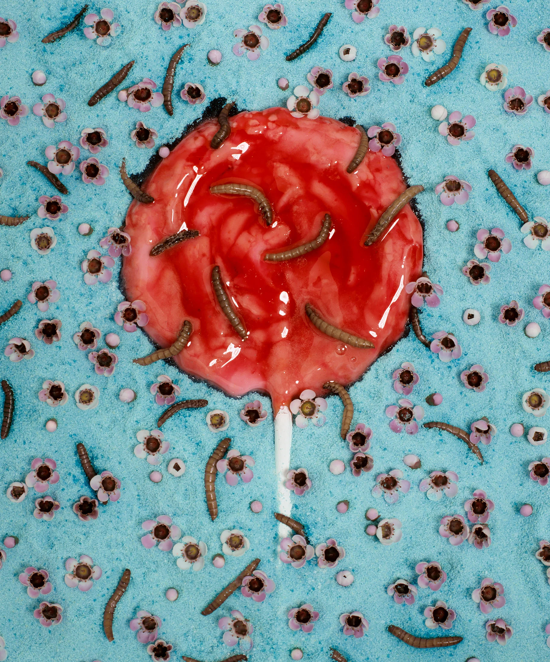 liz-wolfe-lollipop-worms.jpg