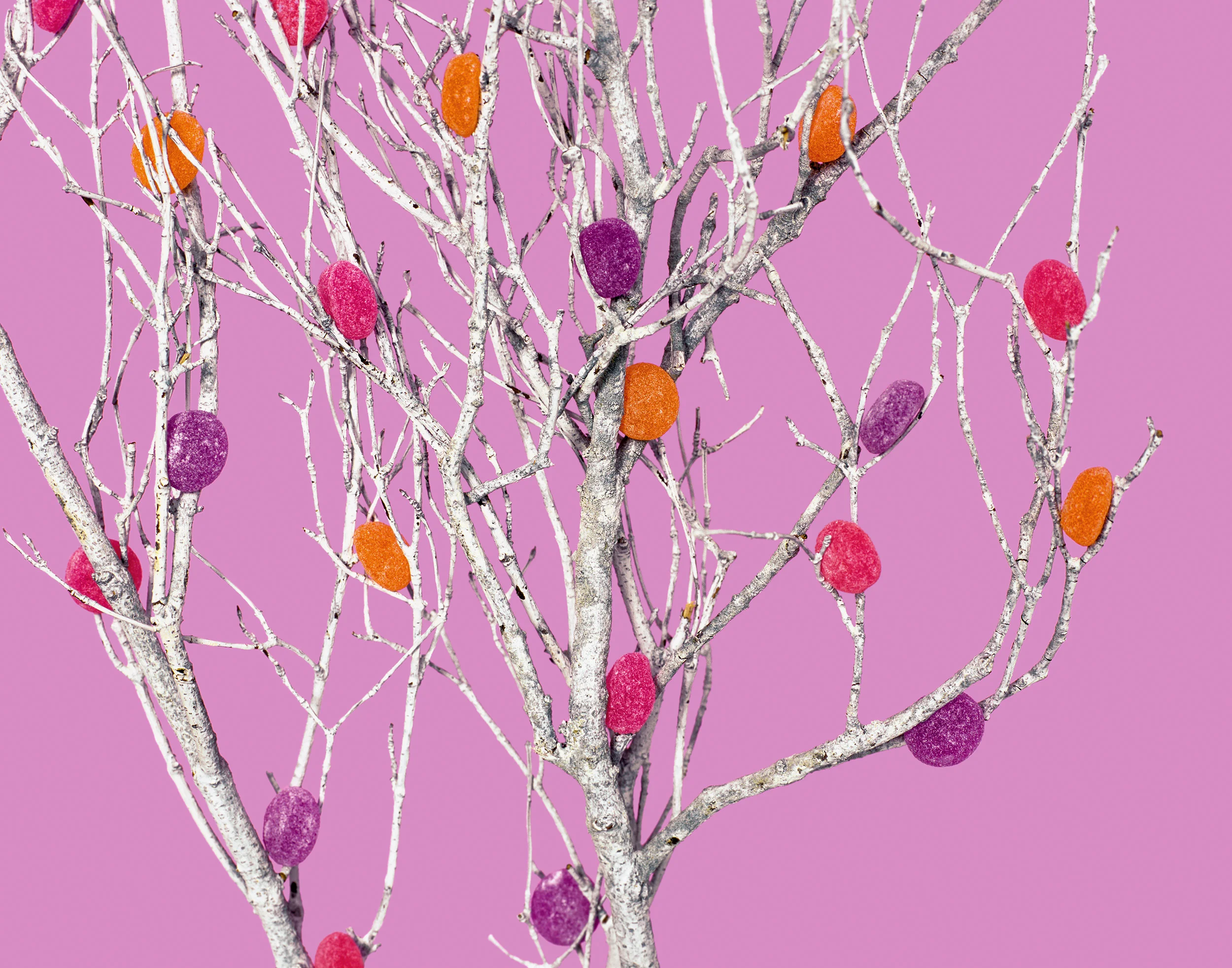 liz-wolfe-gumdrop-tree.jpg