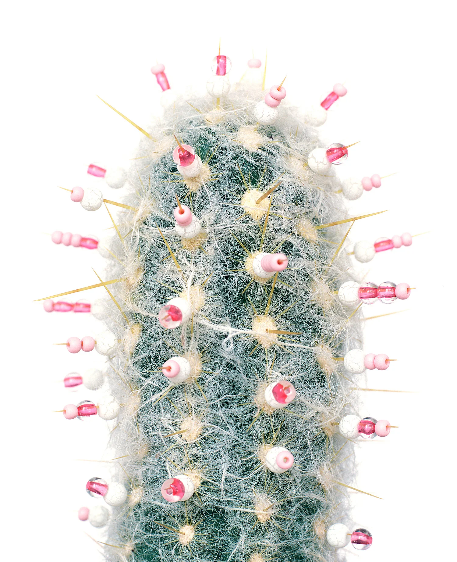 liz-wolfe-pink-beads-cactus.jpg