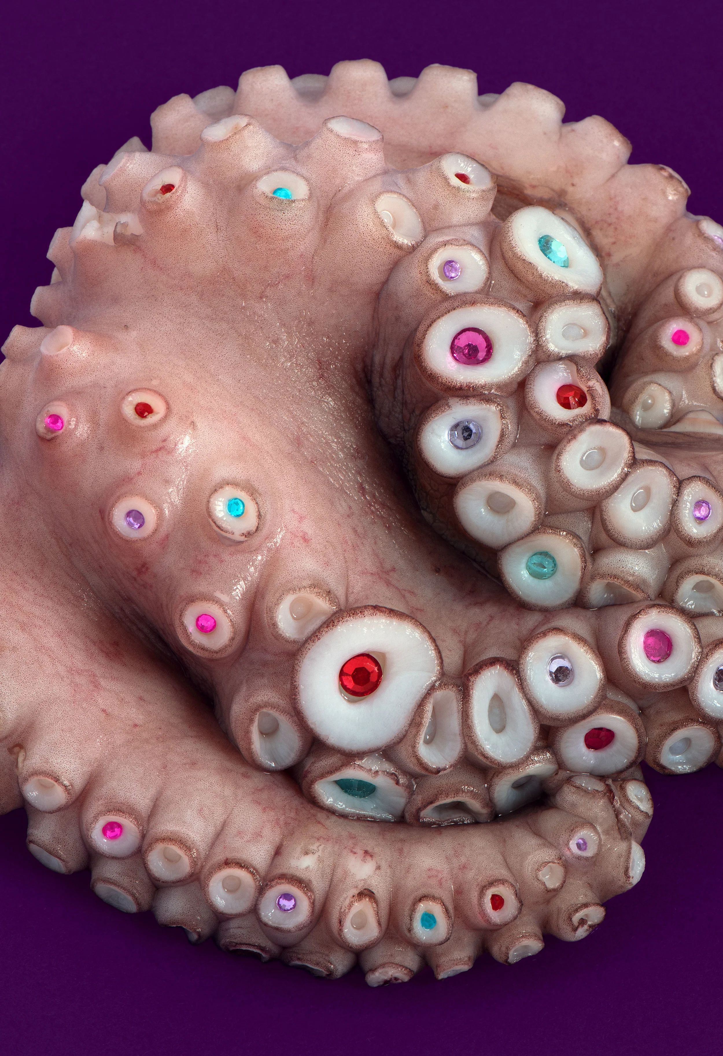 liz-wolfe-rhinstone-tentacle-2018-LR.jpg