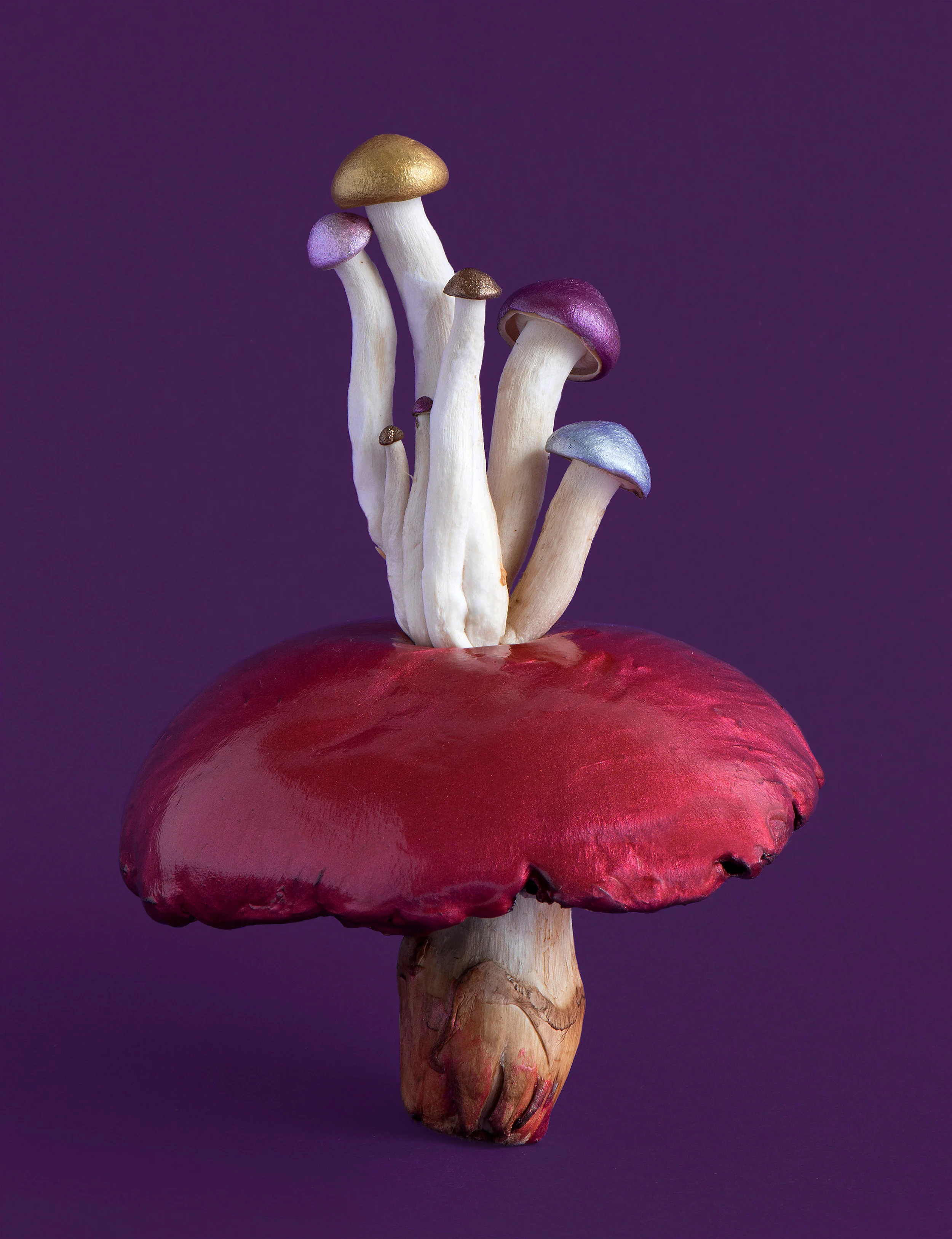 liz-wolfe-hybrid-mushroom-2018-LR.jpg