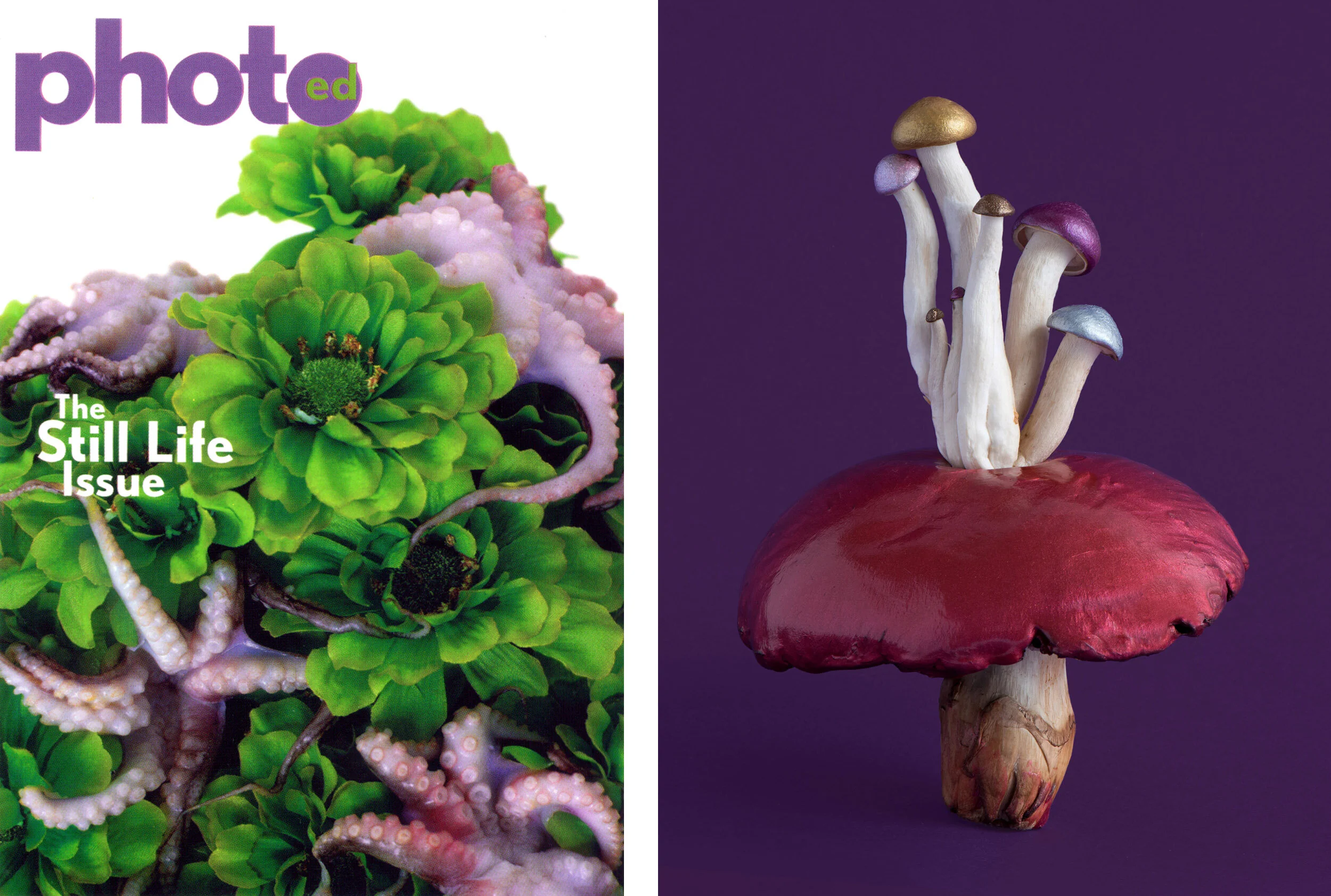 liz-wolfe-photo-ed-mushroom.jpg