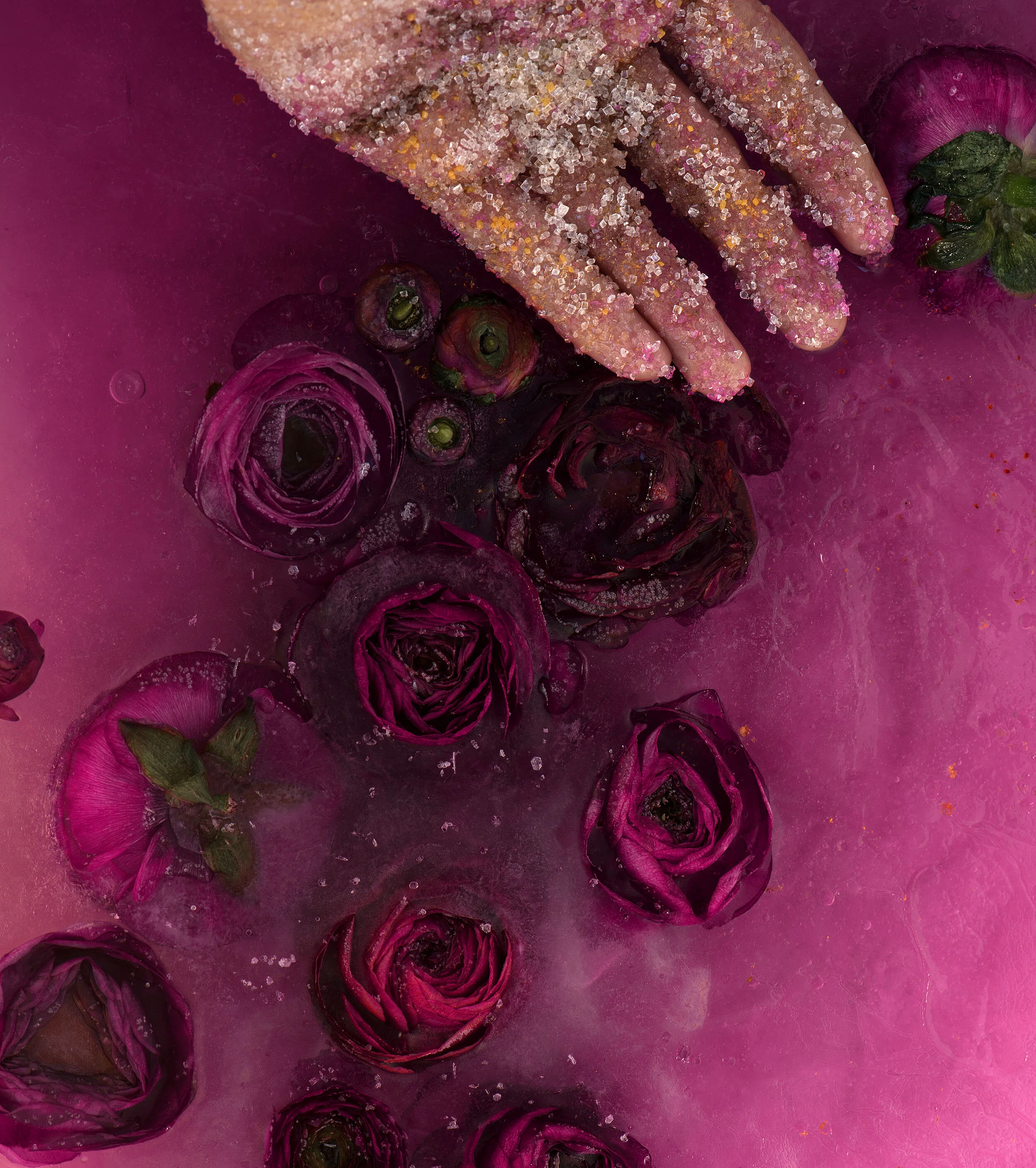liz-wolfe-sugar-hand-ice-2020.jpg