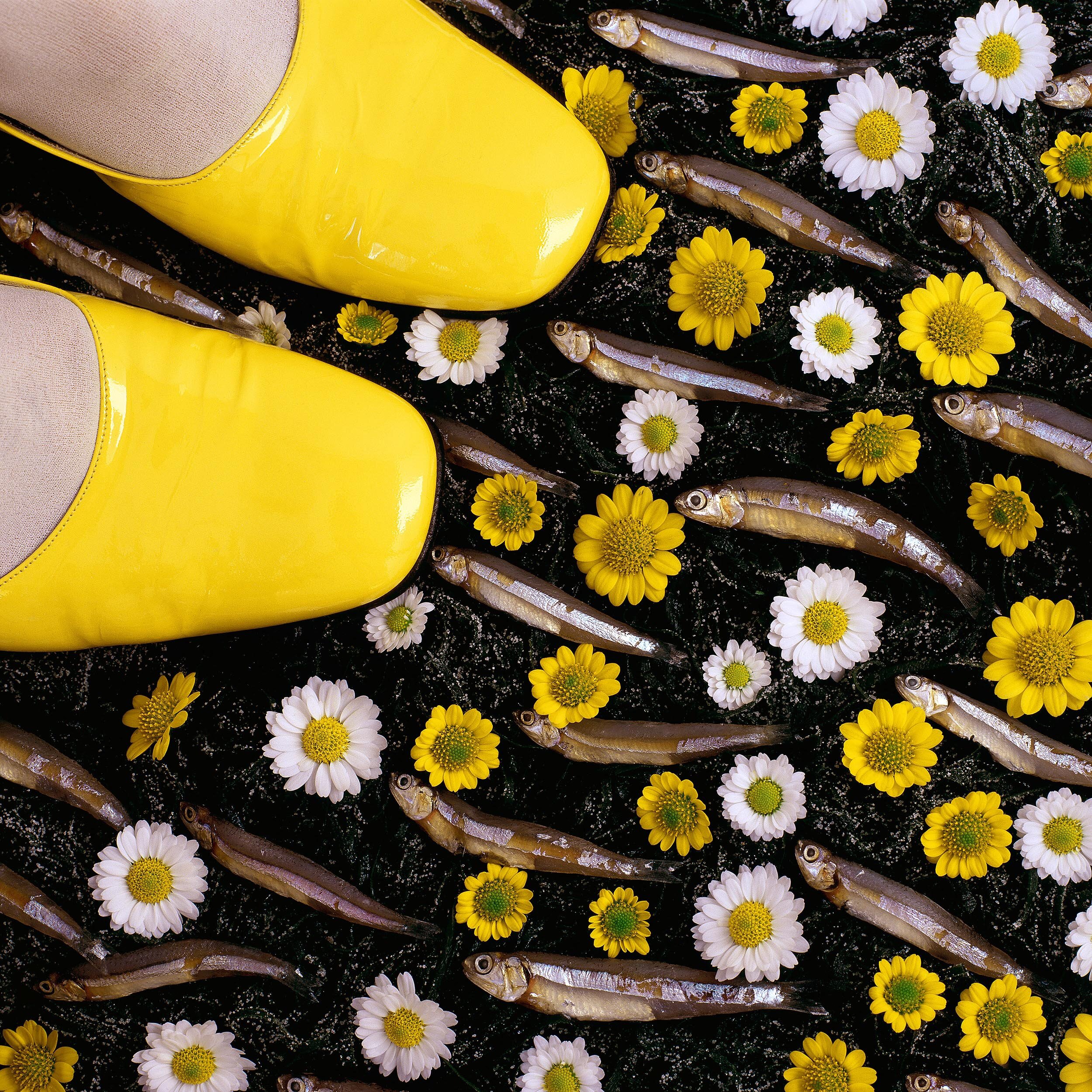 liz-wolfe-yellow-shoes-2020-LR.jpg