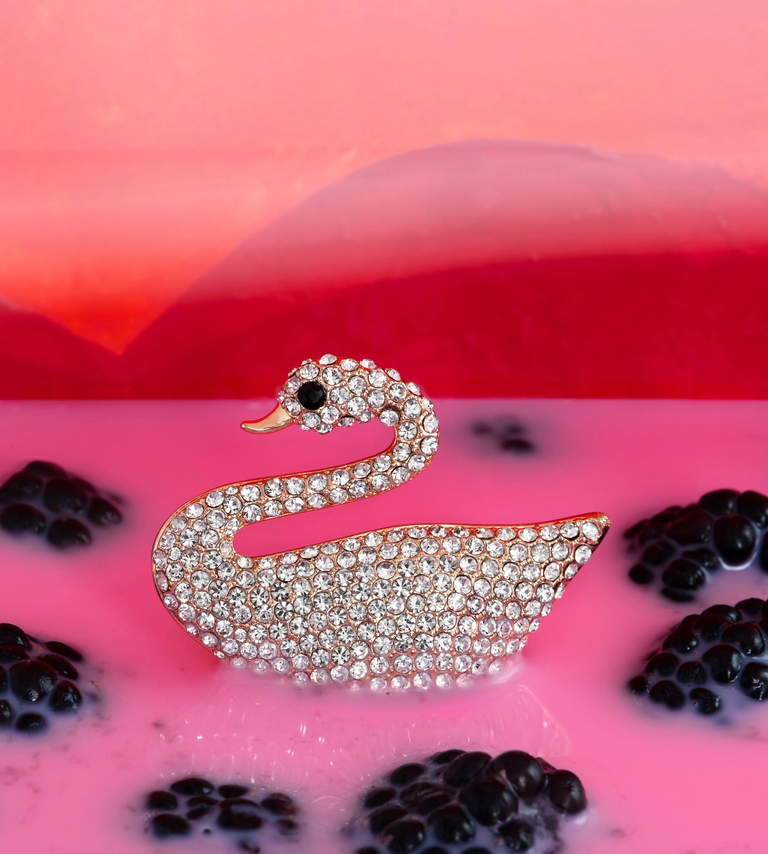 liz-wolfe-swan-berries-2020-FINAL.jpg