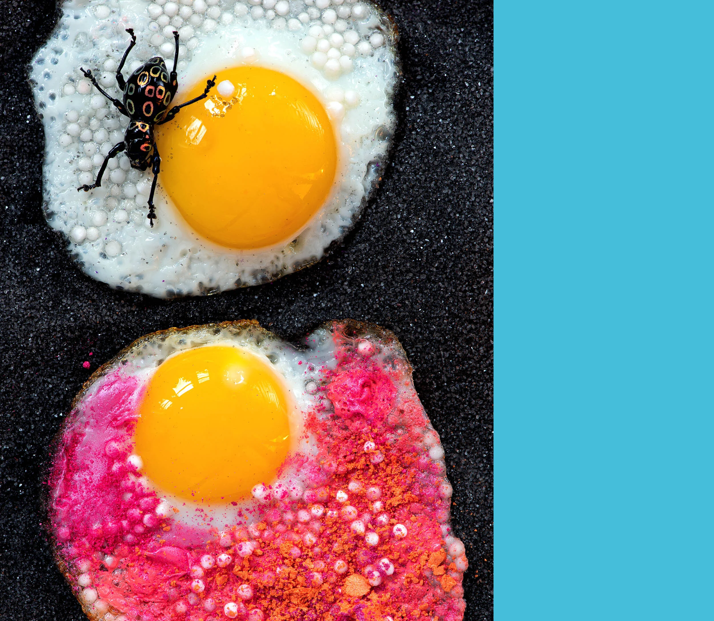 2021-website-liz-wolfe-spider-eggs.jpg