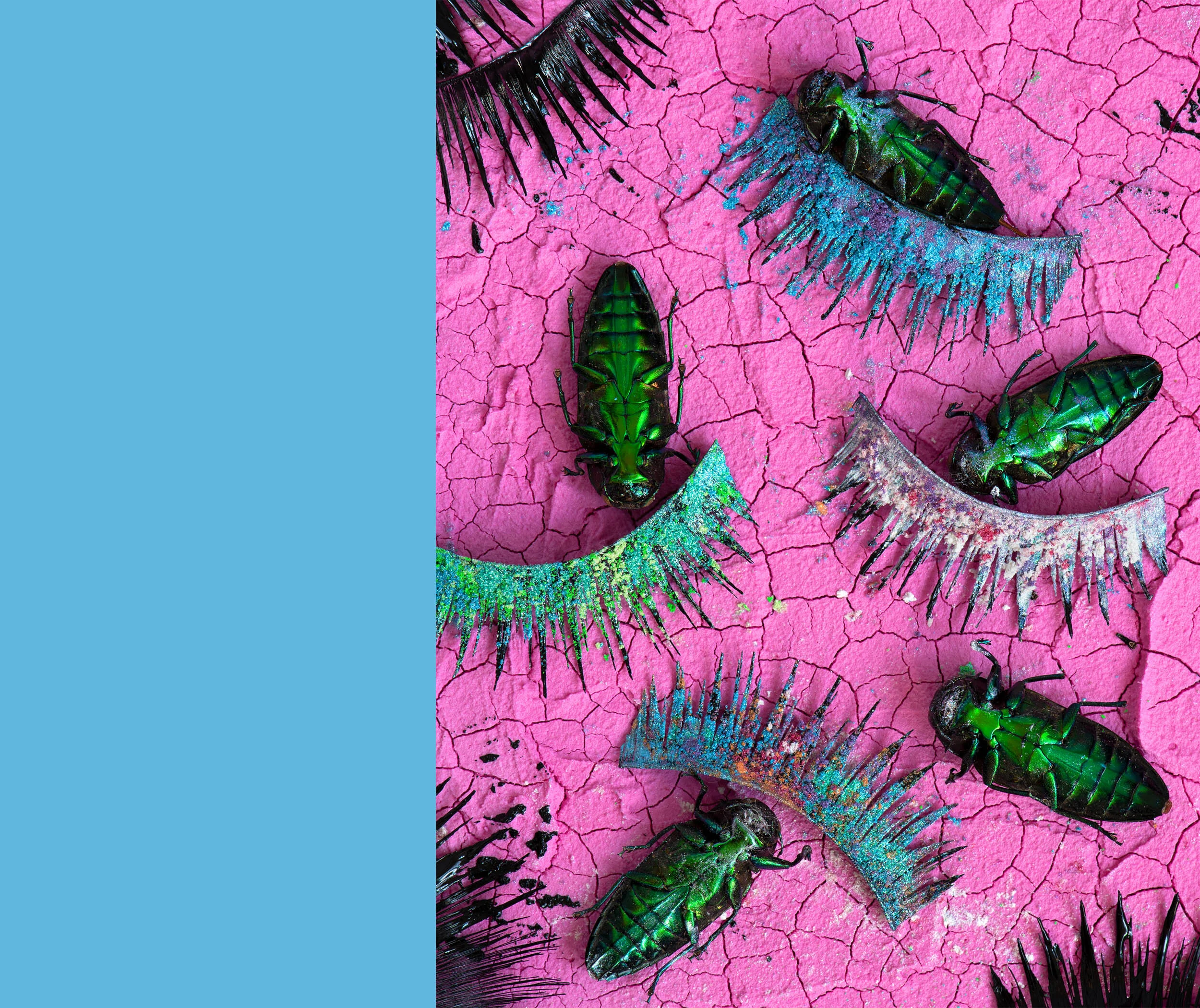2021-website-liz-wolfe-lashes-bugs.jpg