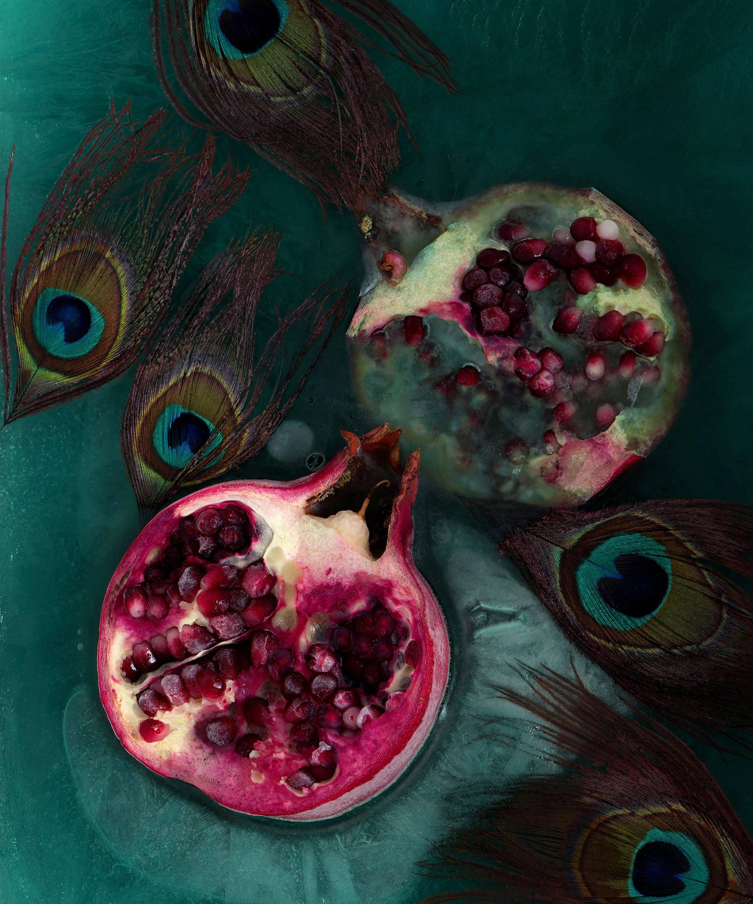 liz-wolfe-pomegranates-peacock-feathers-in-ice-2020.jpg