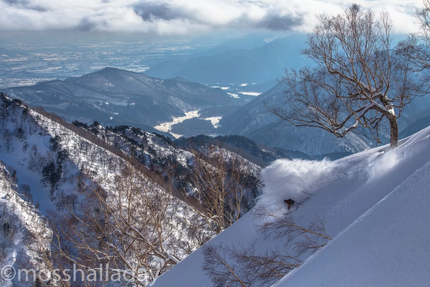Halina_Japan-26-compressor.jpg