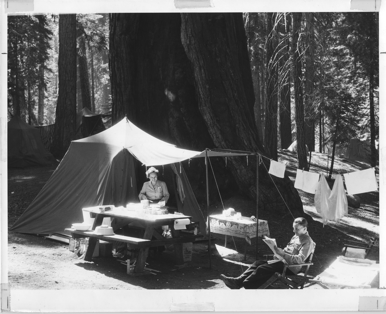 Giant Forest-Sequoia-1930s.jpg