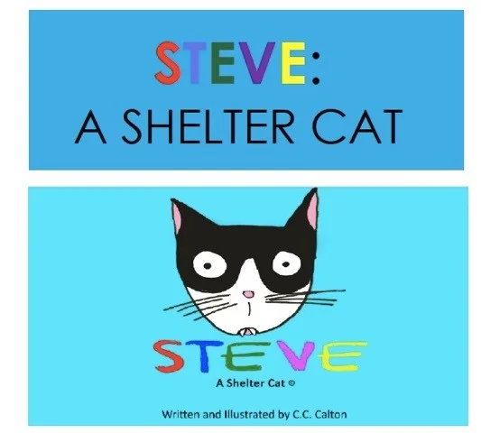Steve a shelter cat.jpg