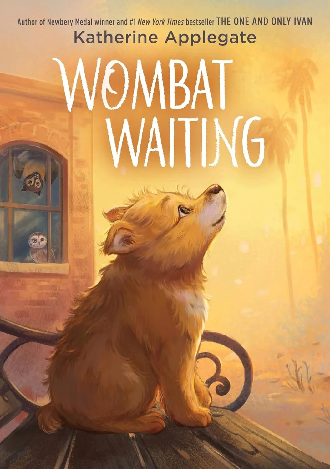 wombat waiting.jpg