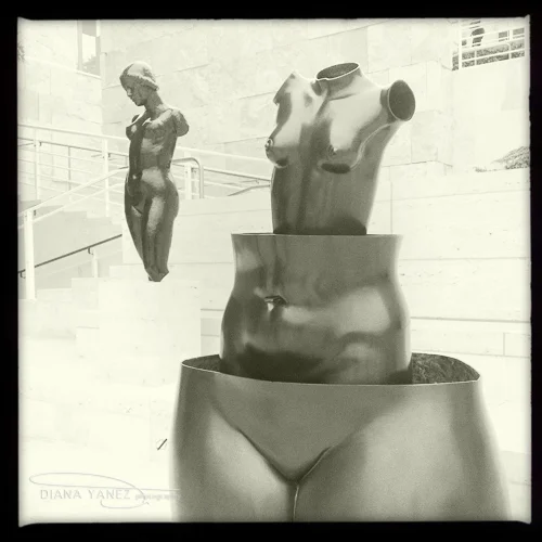 life_0035.jpg
