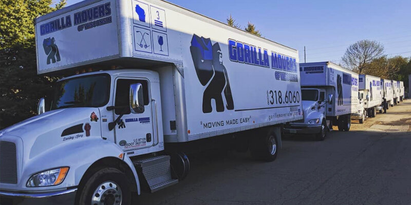 Madison Moving Company Moving And Packing Made Easy Gorilla Movers Of Wisconsin Gorilla Movers Of Wisconsin