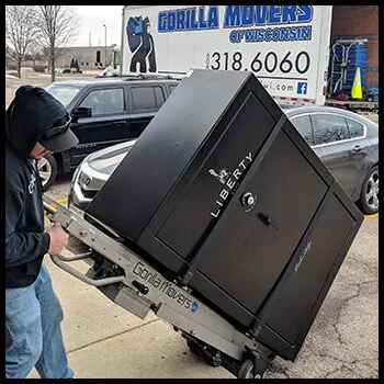 safe gun moving services movers