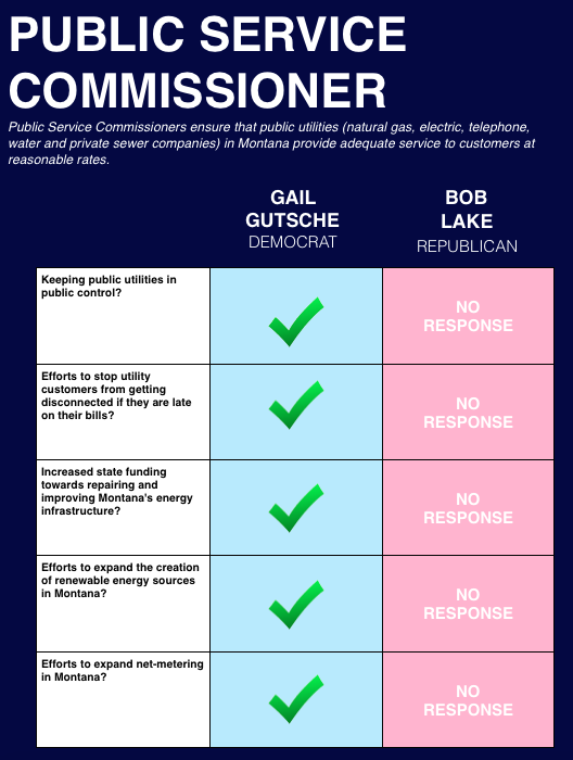 Learn more about the candidates at their websites: Gail Gutsche Bob Lake