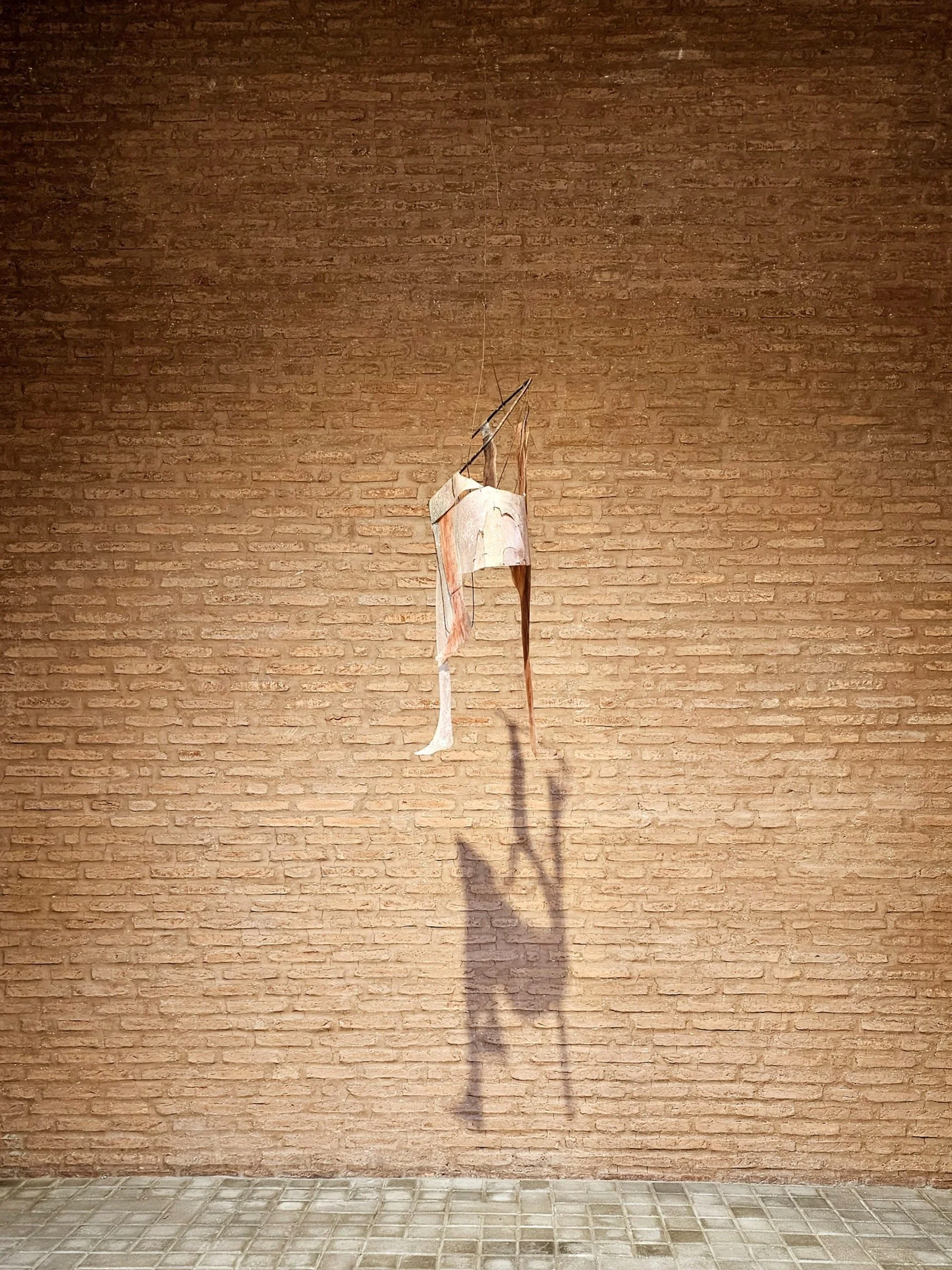 20230426_150224.jpeg