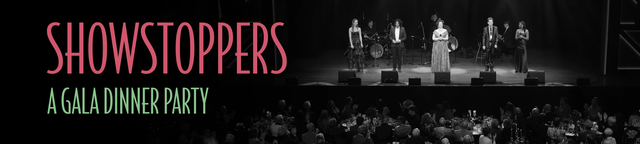 Showstoppers Temporary Banner 2027.jpg
