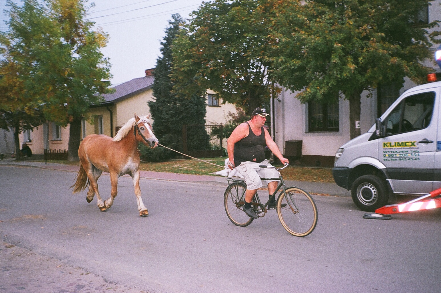 42230016.JPG