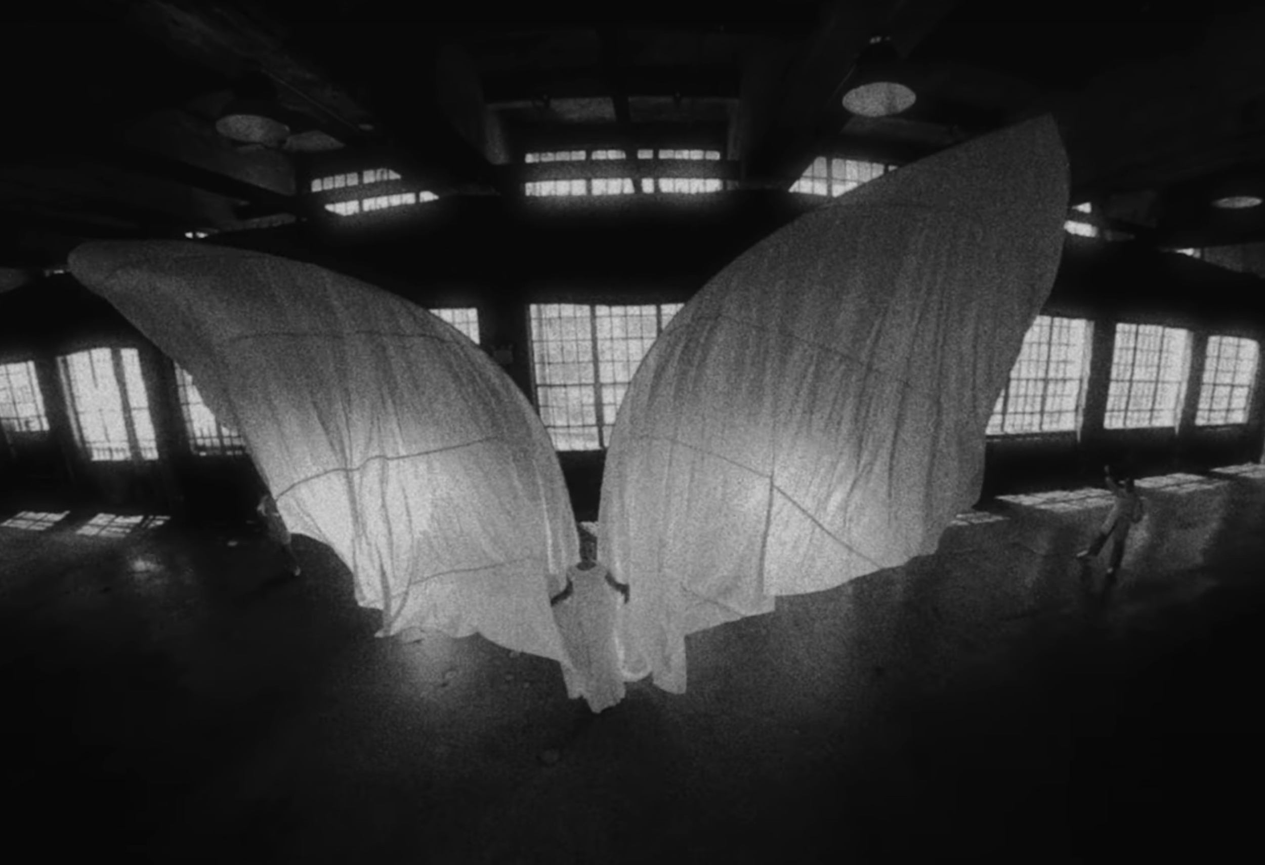 NYT - WINGS