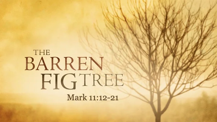 The Barren Fig Tree