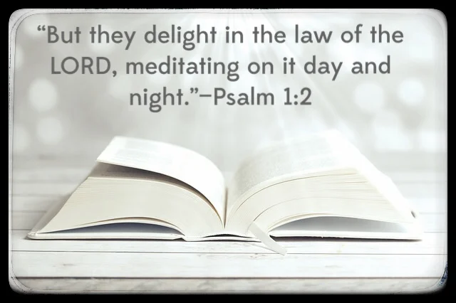 Psalm 1 6-23-19.jpg