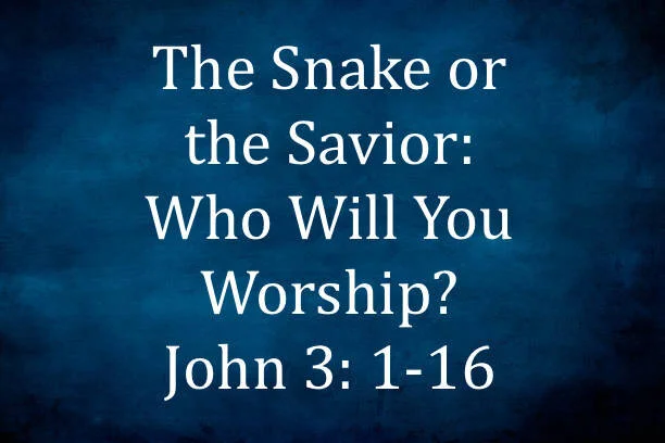 The Snake or the Savior.jpg
