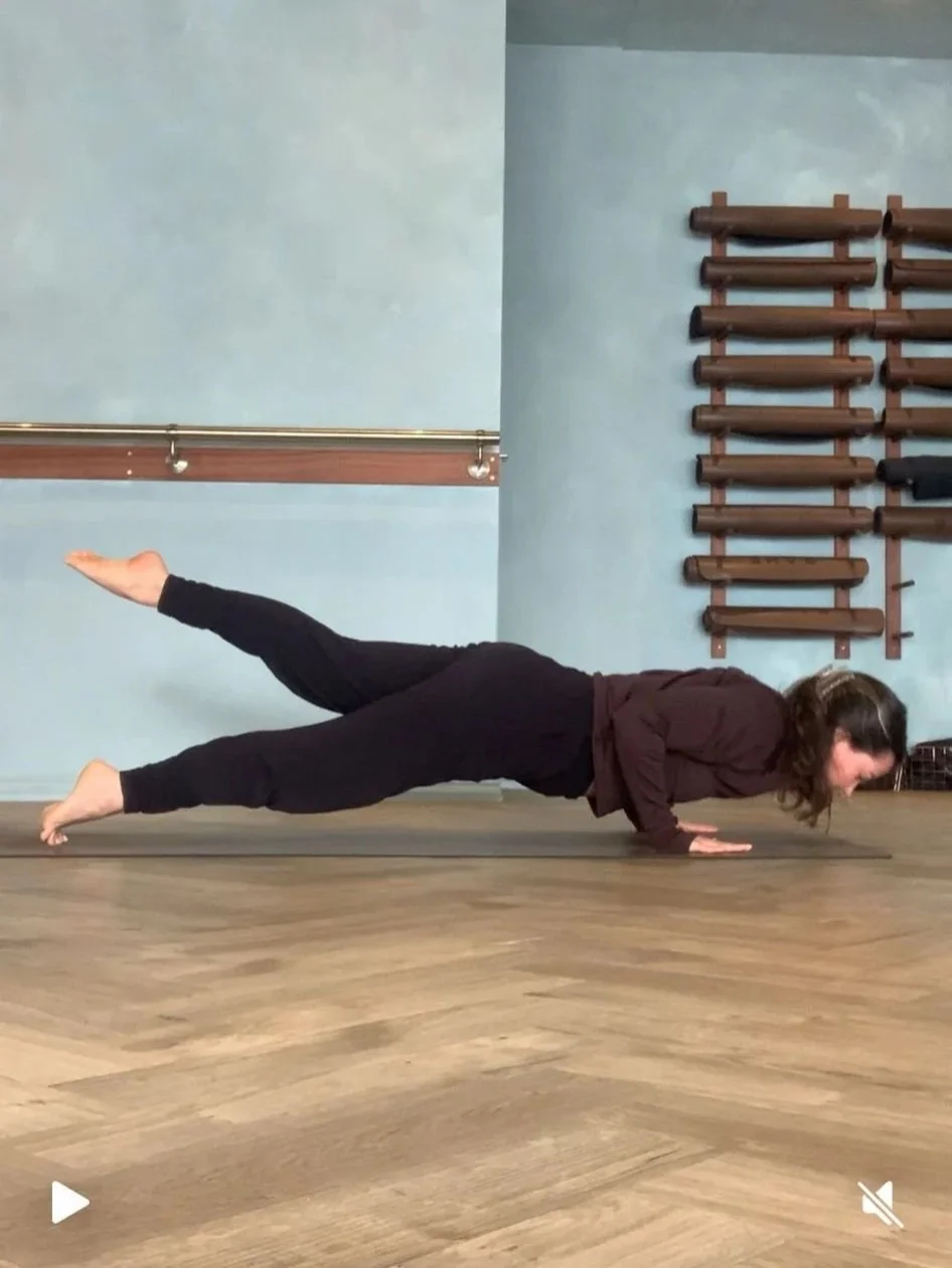 Chaturanga Workshop