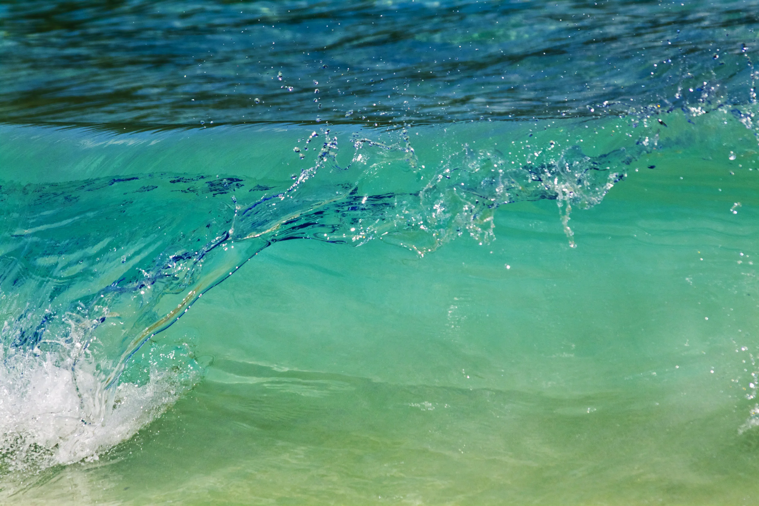 IMG_6842 as Smart Object-1.jpg