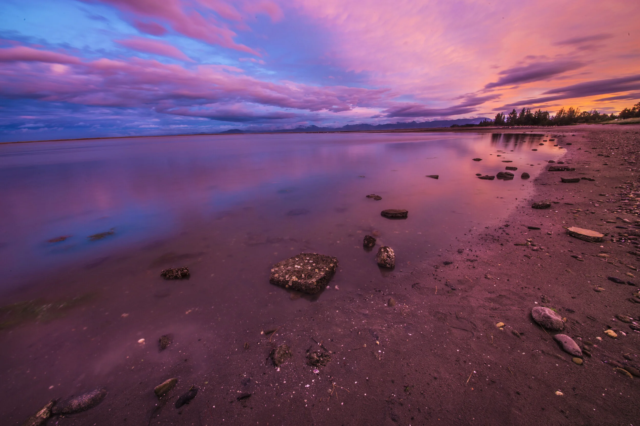 IMG_9431 as Smart Object-1.jpg