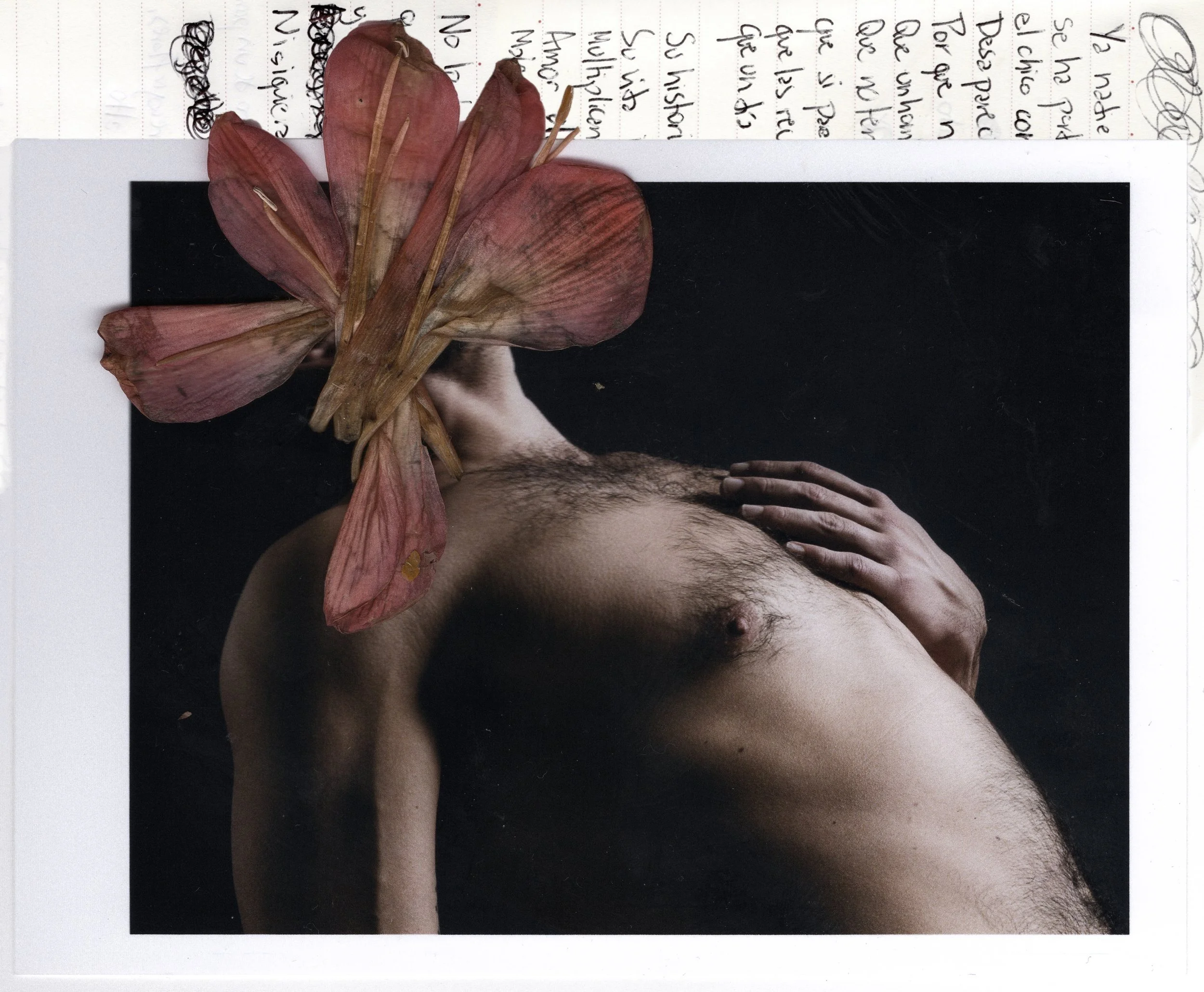 Julian&Flowers3-poem.jpg