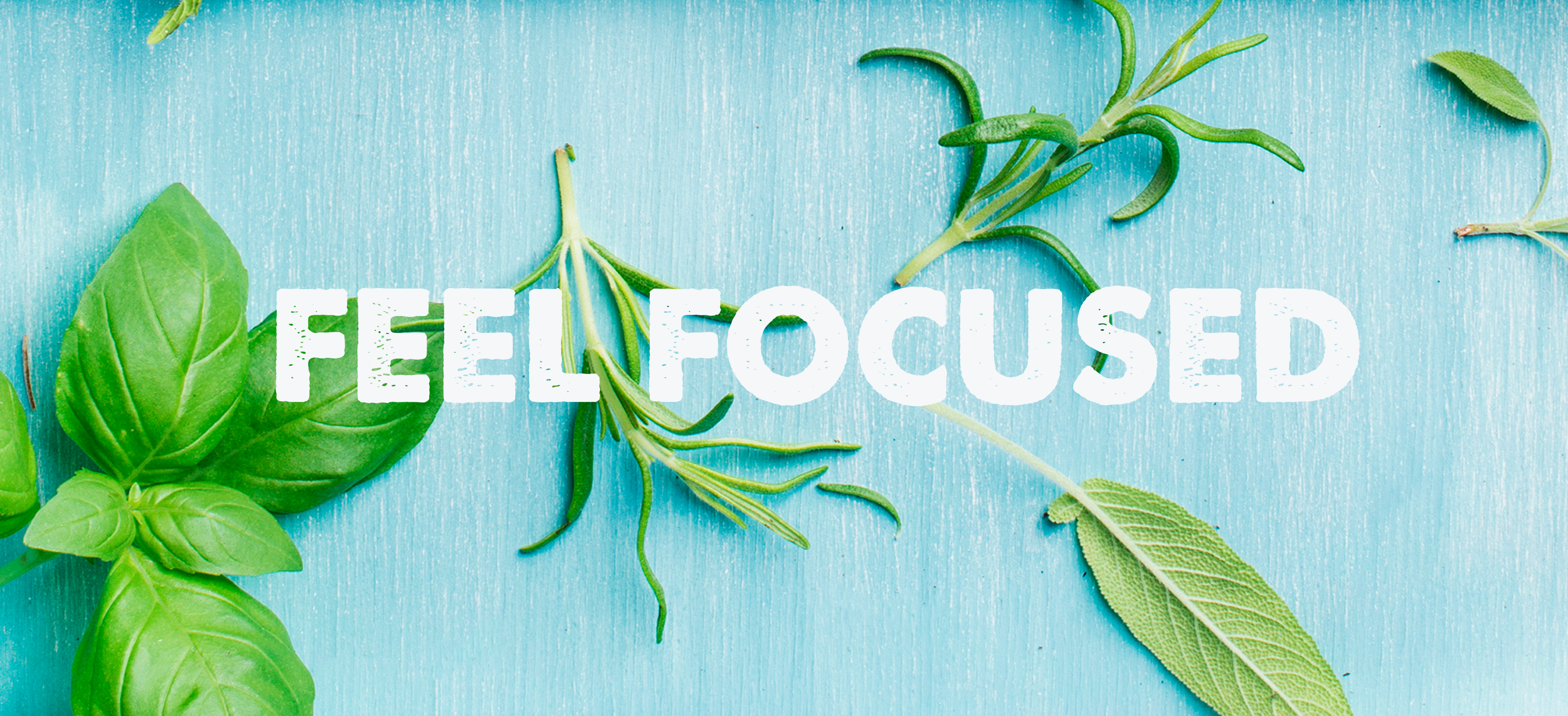 Green herbs arranged around the text 'FEEL FOCUSED' on a blue background.