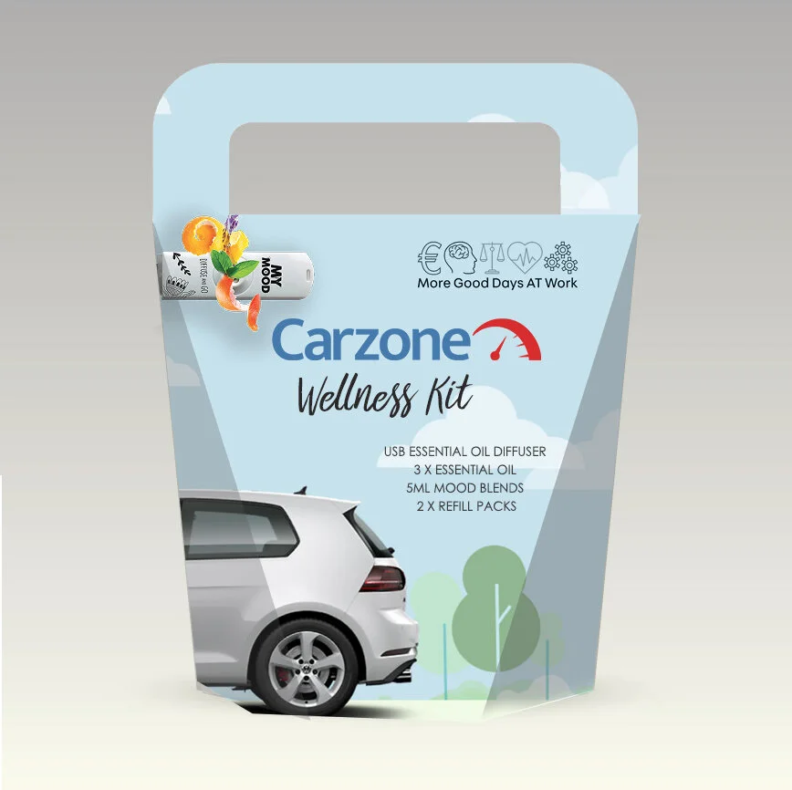  office mindfulness. corporate wellbeing solutions. zevo health. irish life health. corporate health ireland. corporate mindfulness programmes. corporate mindfulness workshops mindfulness workshops. spectrum life. well steps. distant healers. reiki m
