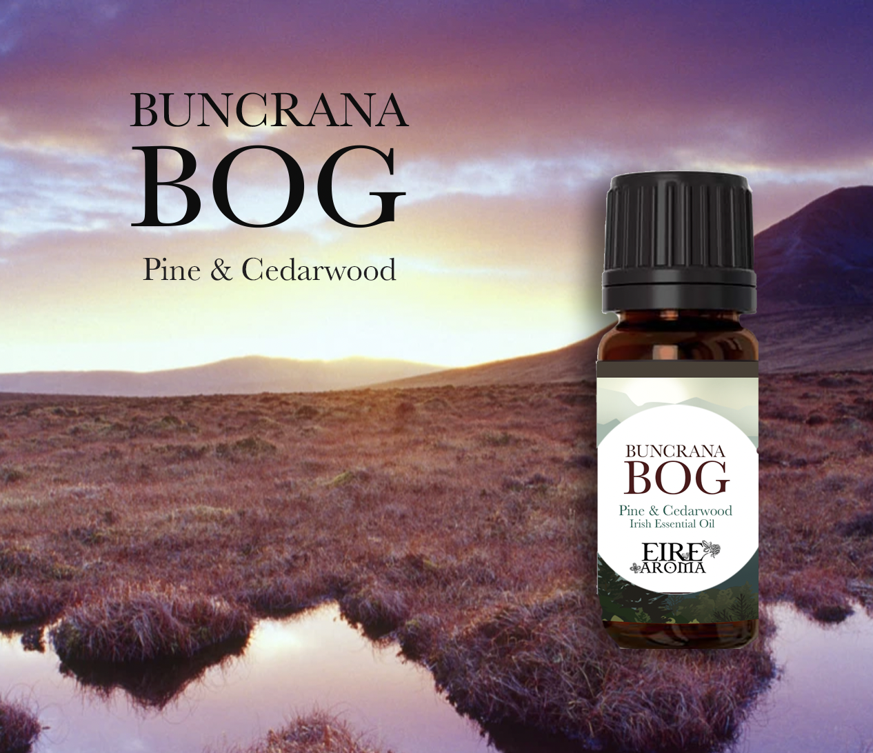 Screenshot 2021-11-23 at 22.43.15.png