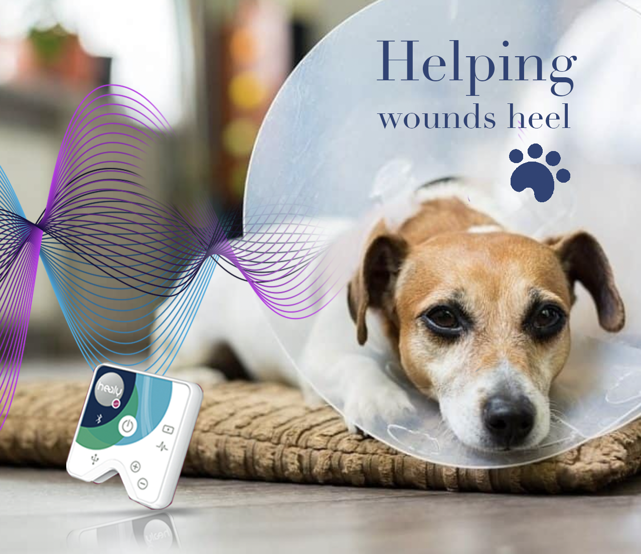 Screenshot 2021-11-29 at 11.28.56.png