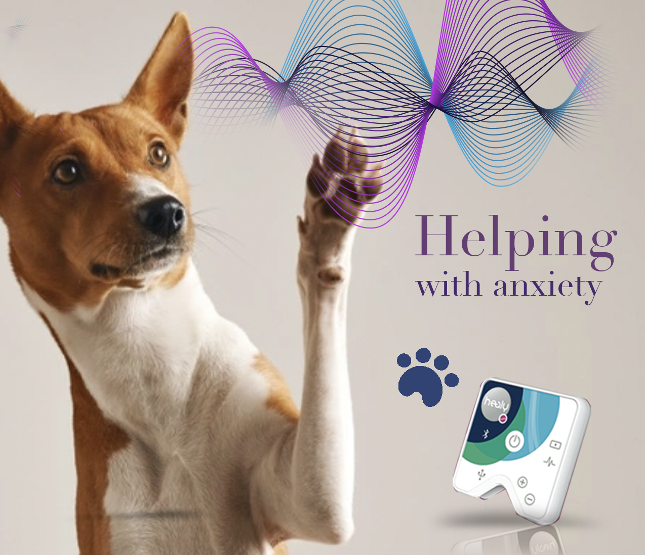 Screenshot 2021-11-29 at 11.36.44.png