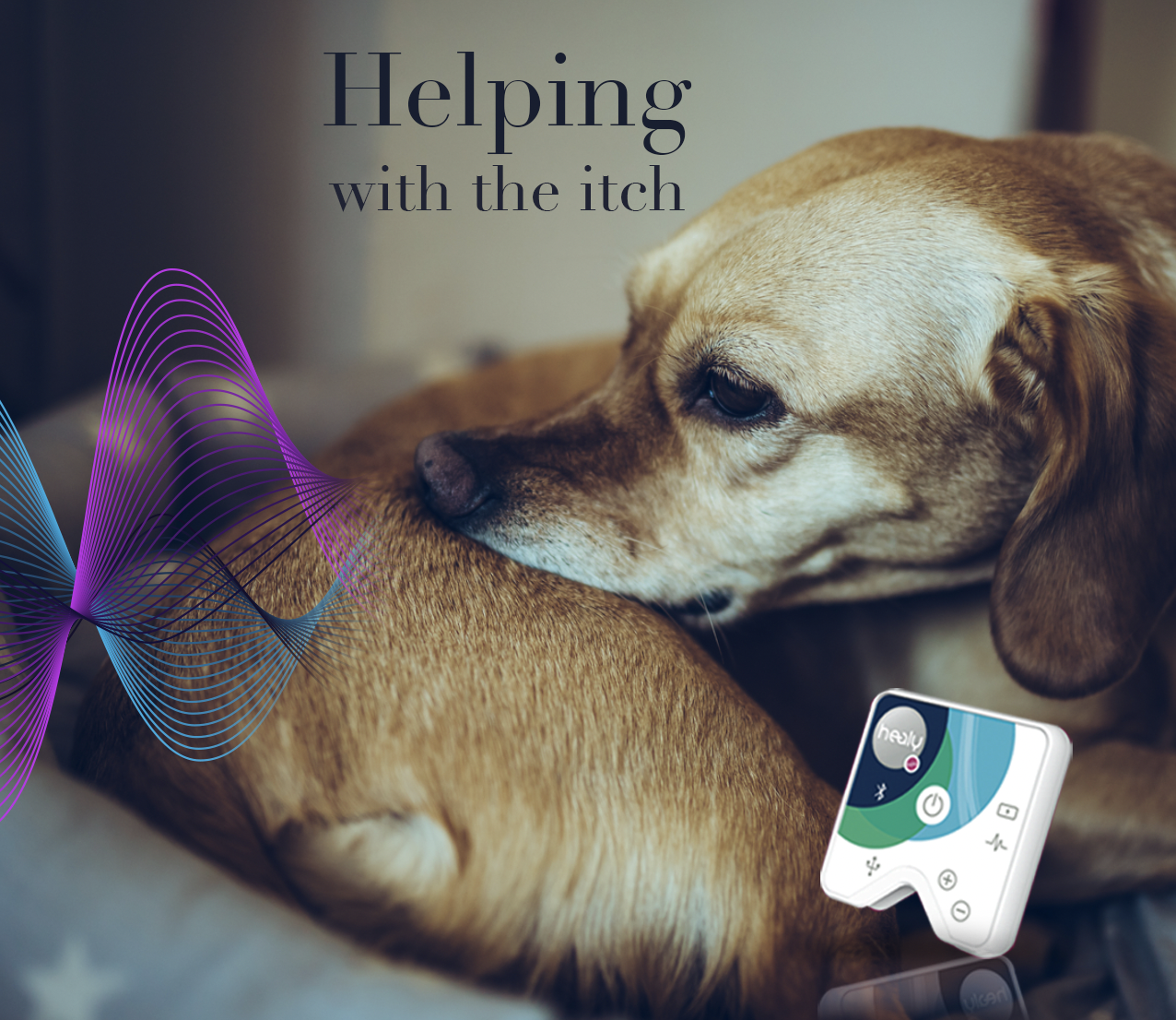 Screenshot 2021-11-29 at 12.43.03.png