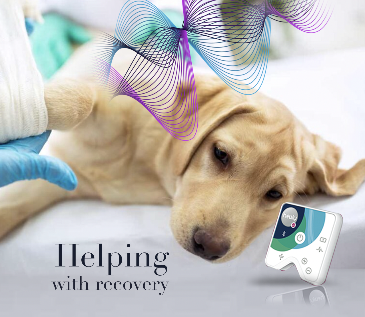 Screenshot 2021-11-29 at 12.48.10.png