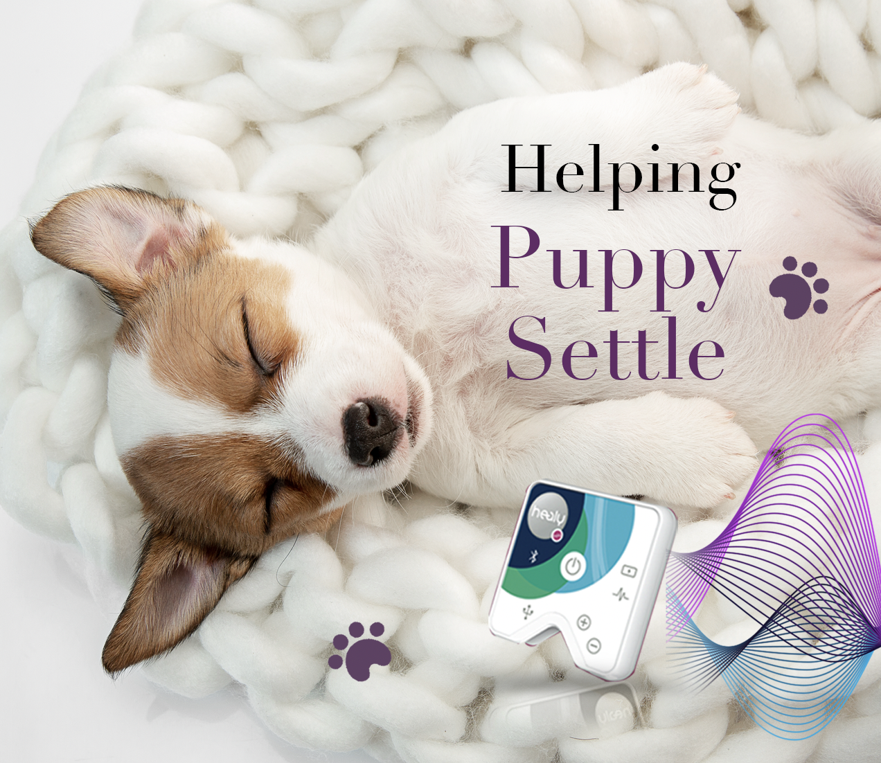 Screenshot 2021-11-29 at 18.12.31.png