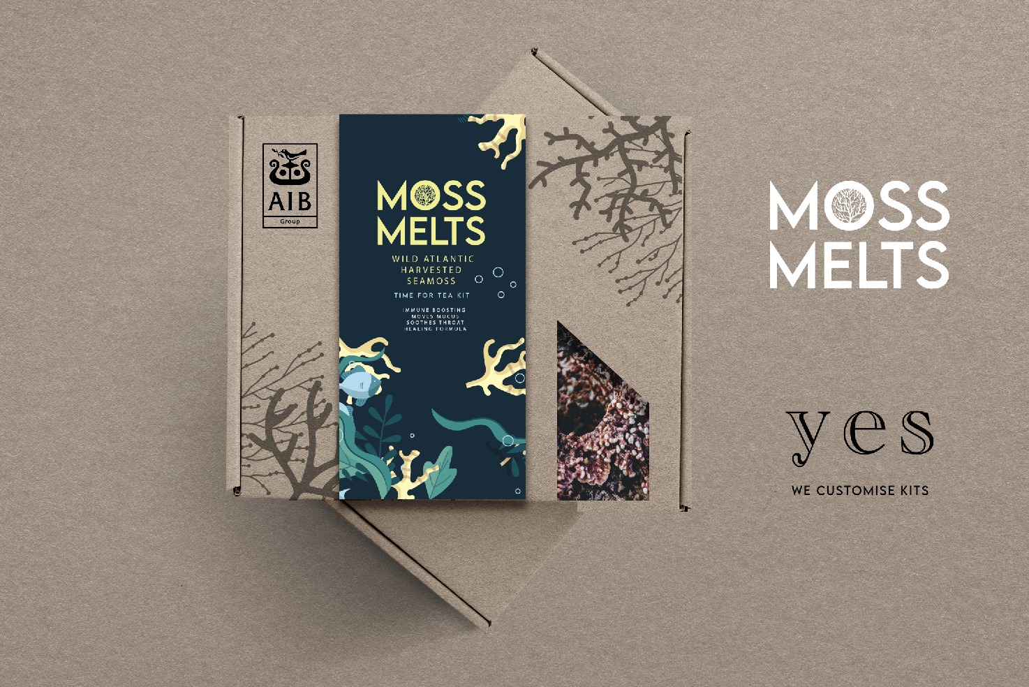 Moss Melt Sea Moss Corporate Gift Boxes