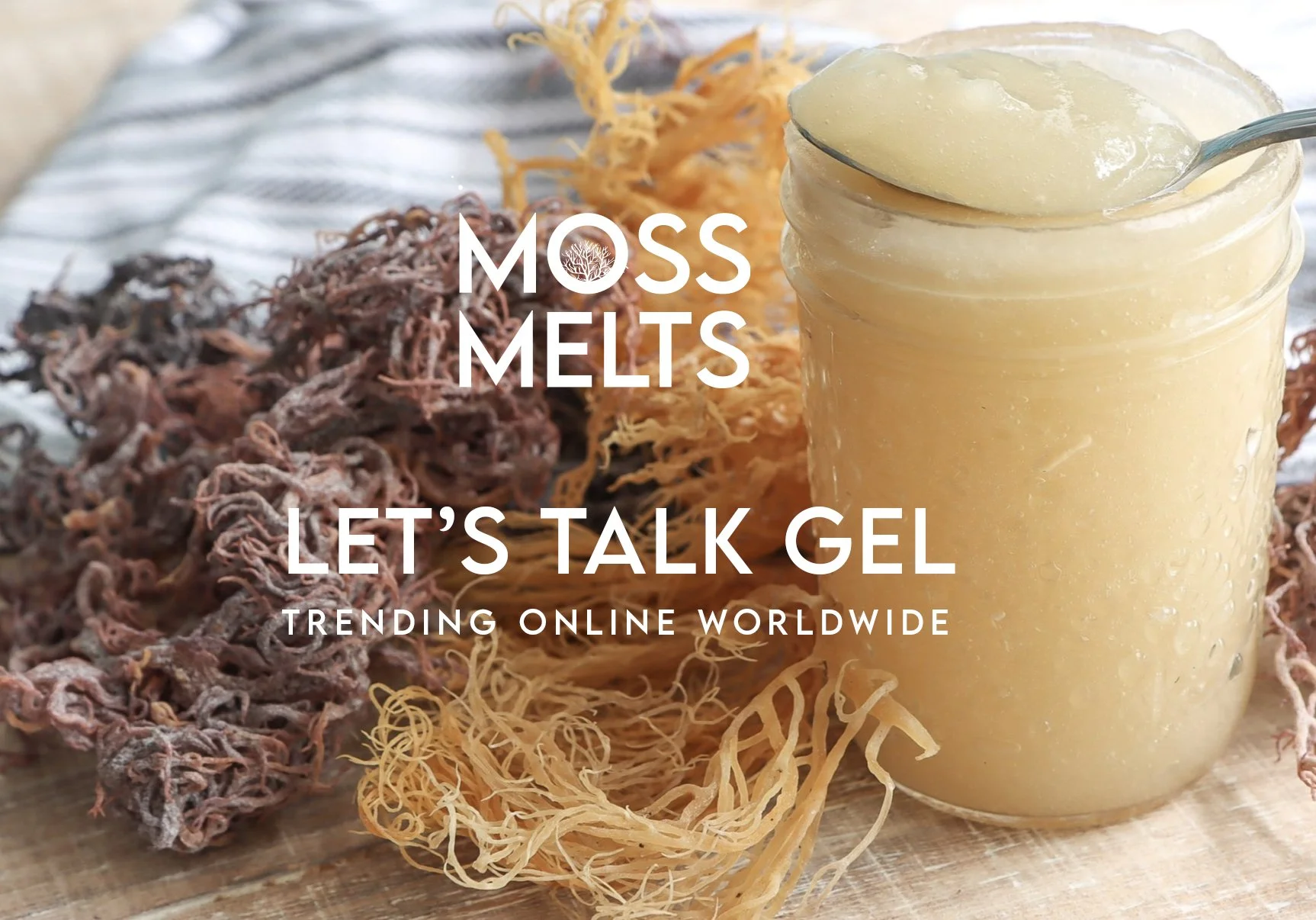 Moss melts hb slide 3.jpg