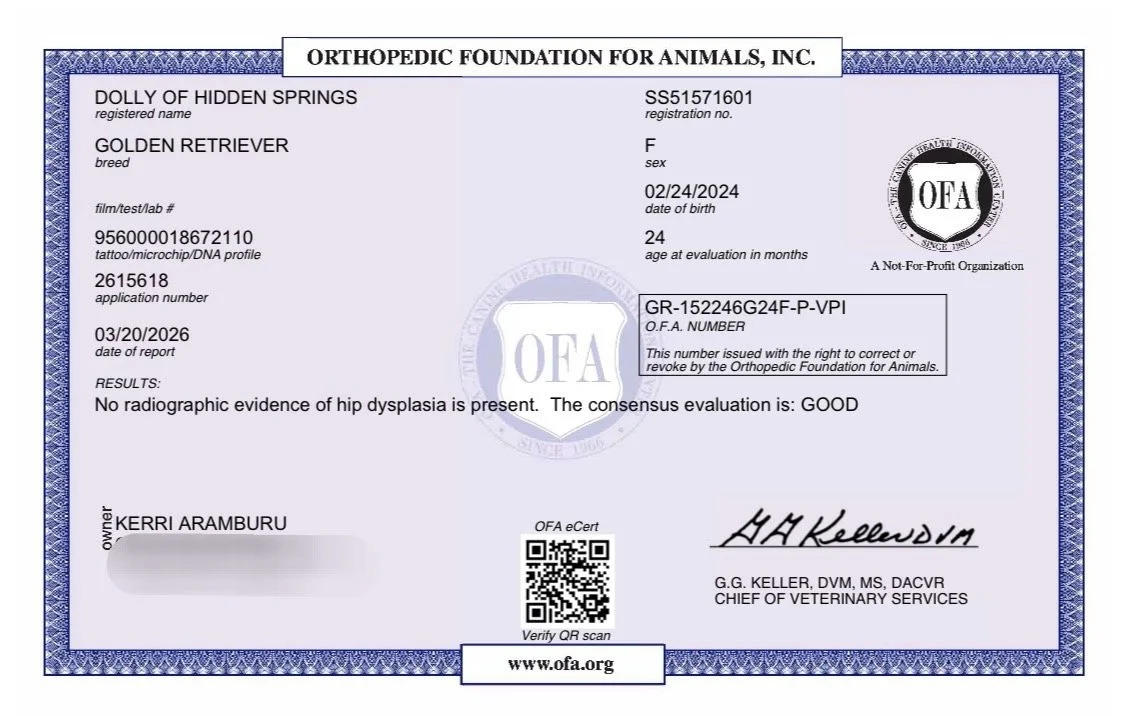 IMG_20260326_093555 (2).jpeg